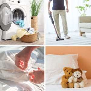 Read more about the article How To Get Rid of Dust Mites: Practical Indoor Allergy Tips