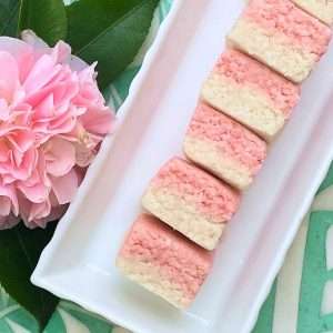 Read more about the article Dairy Free Coconut Ice: Slice of Allergy-friendly and Vegan Sweetness