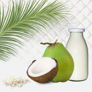 Read more about the article Coconut Allergy Confusion: Is Coconut Really a Tree Nut?