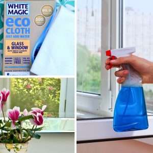 Read more about the article Best Allergy & Asthma Friendly Cleaning Products for Glass