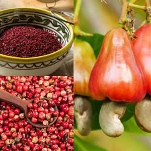 Read more about the article Cashew Allergy? Surprising Foods You Might Need to Avoid