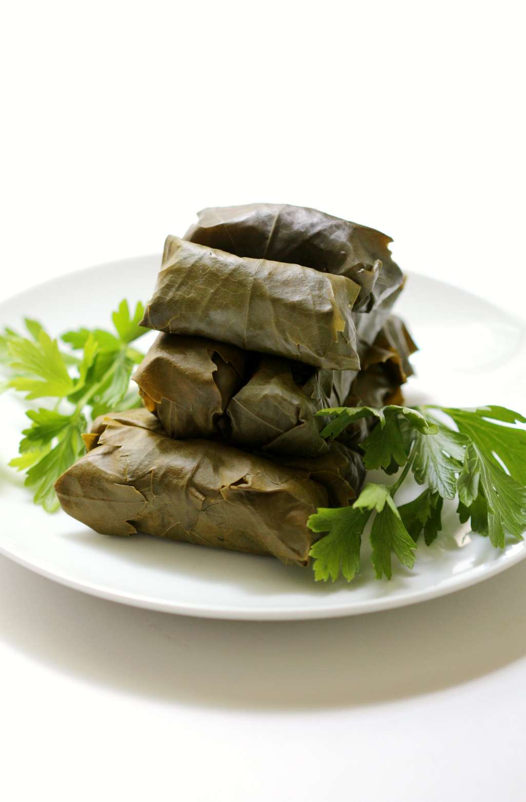 allergy-friendly Greek vegan rice stuffed dolmades on white plate with fresh herbs